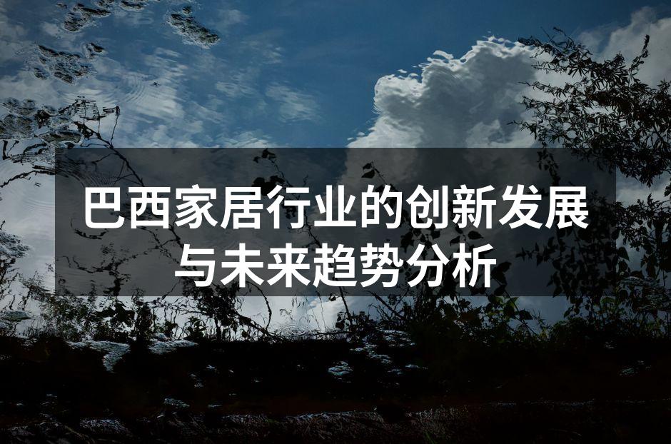 巴西家居行业的创新发展与未来趋势分析